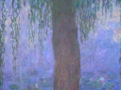 L'Orangerie009