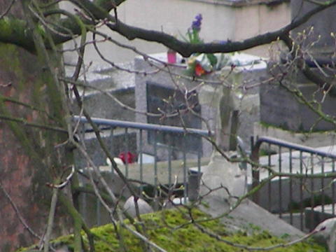 Peré Lachaise009