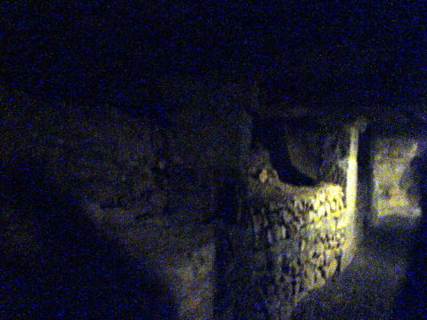 Les Catacombes018
